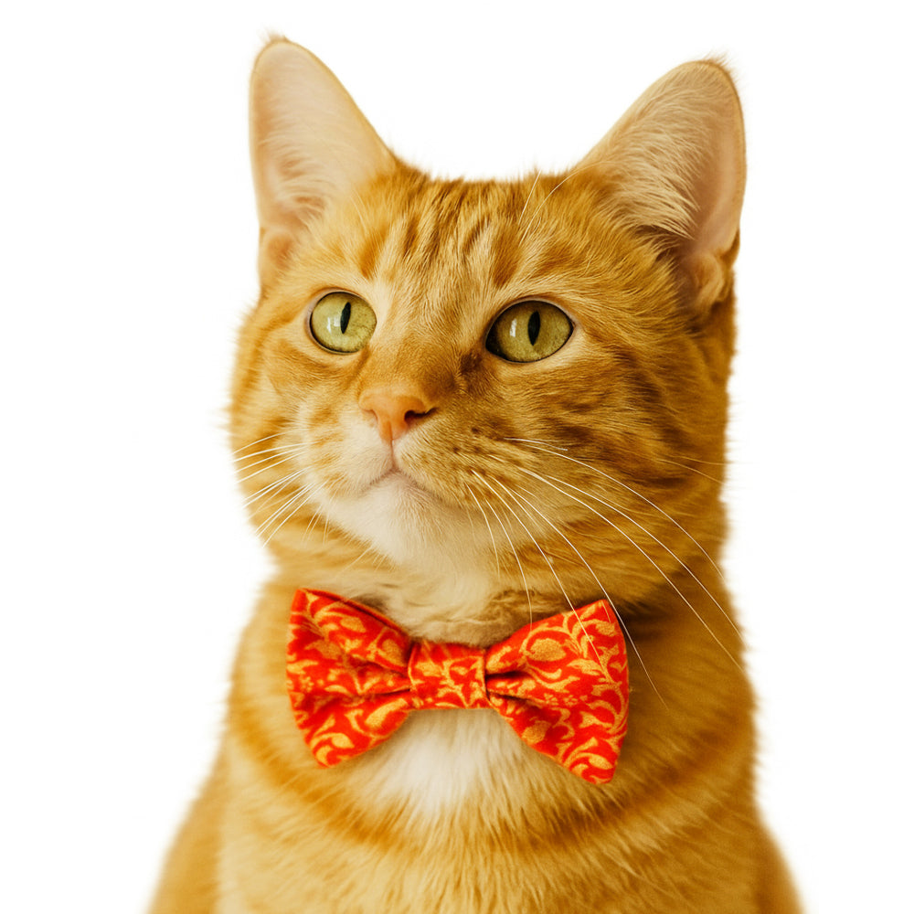 Cat Bow Attachment
