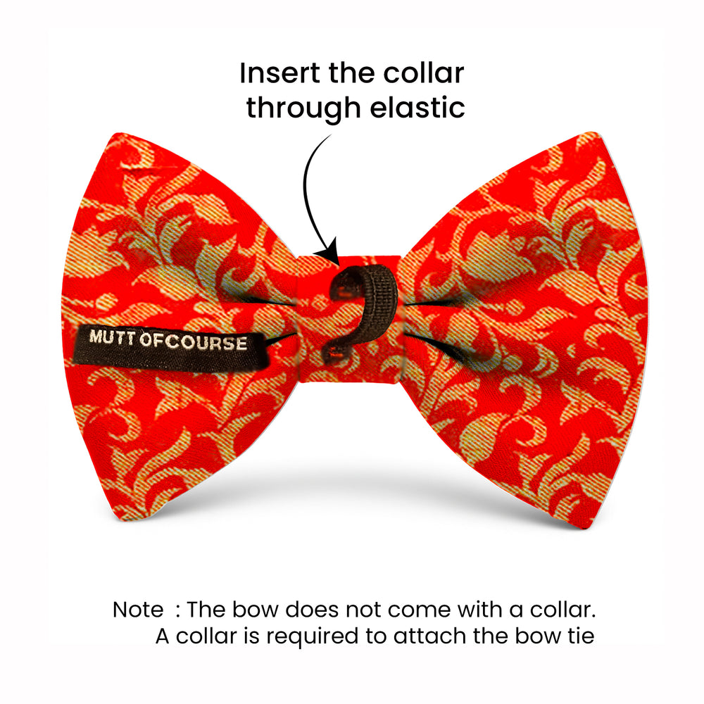 Cat Bow Attachment