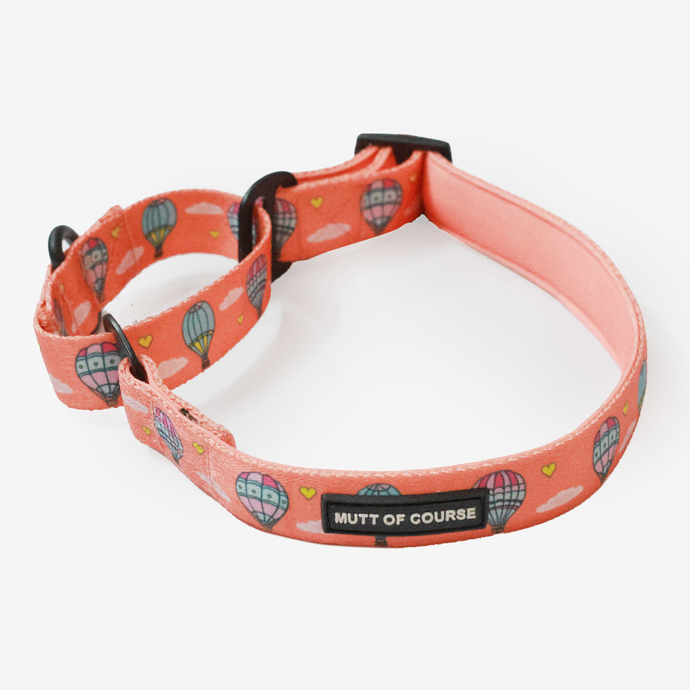 Hot Air Balloon Martingale Collar For Dogs