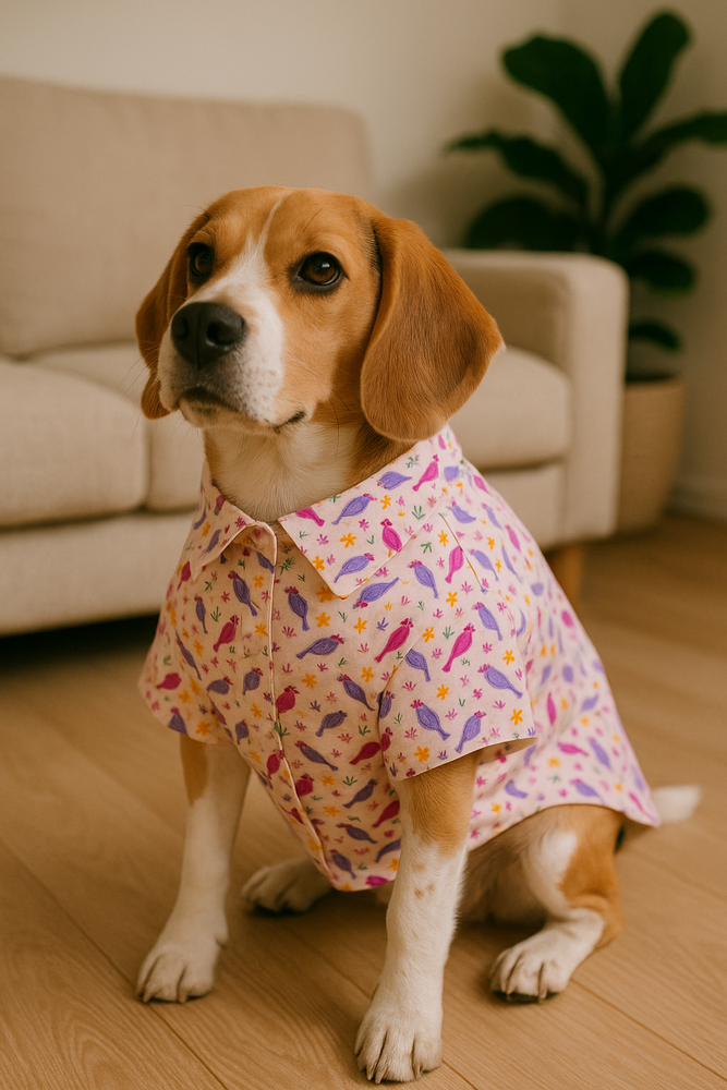 Chirpy Chirps Velcro Shirt