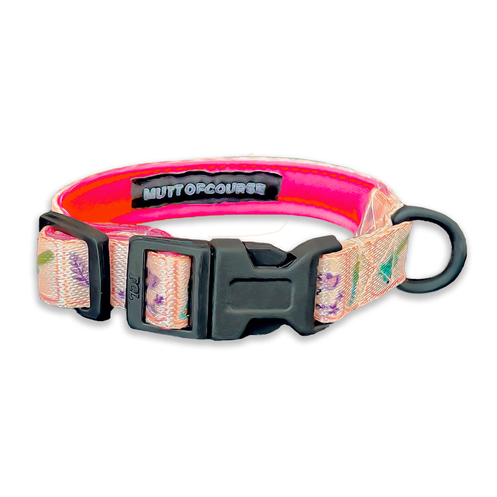 Birdie Collar For Cats