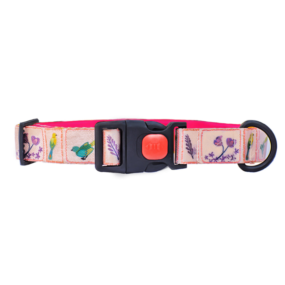 Birdie Collar For Dogs