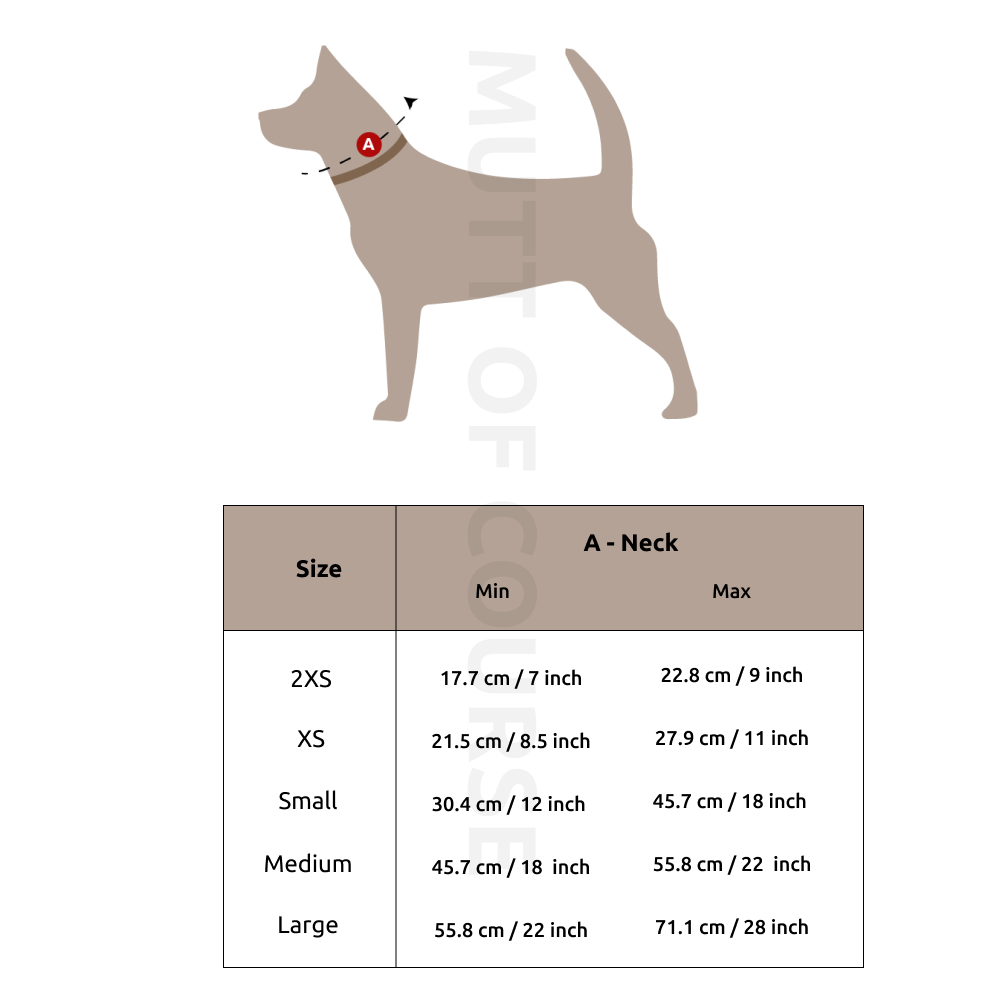 Jungle Collar For Dogs