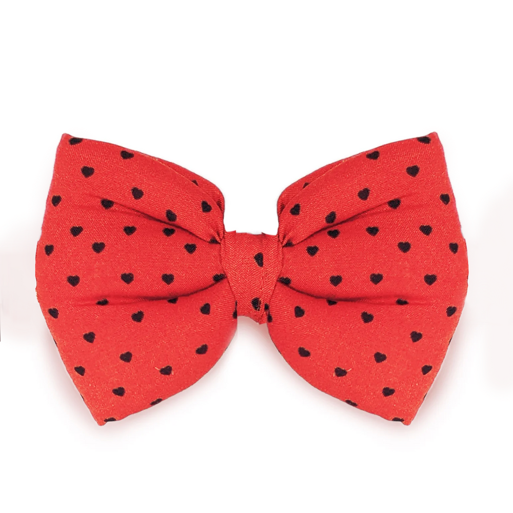 Little Hearts Dog Bow Tie