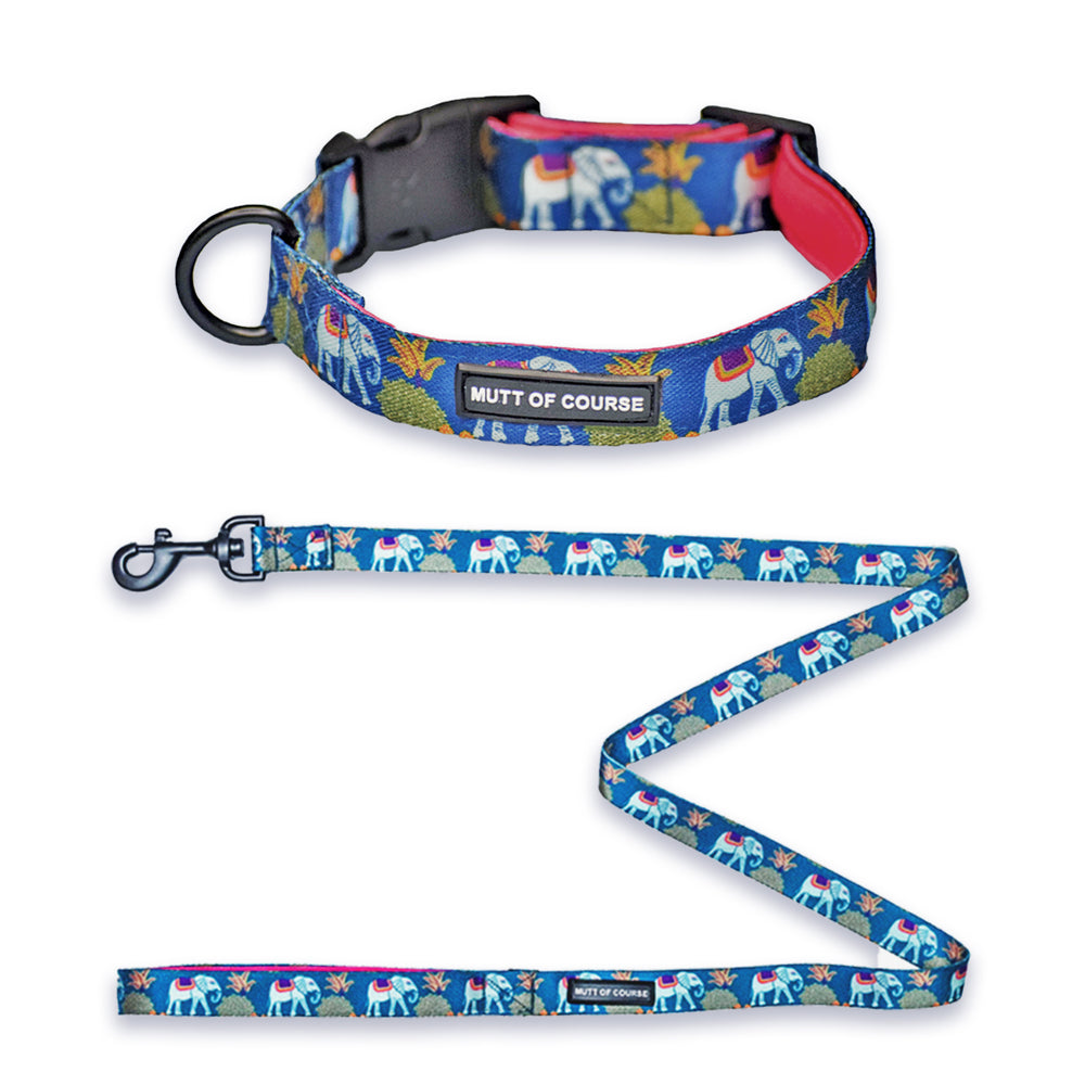 Royal Indian Elephant Collar + Leash Set