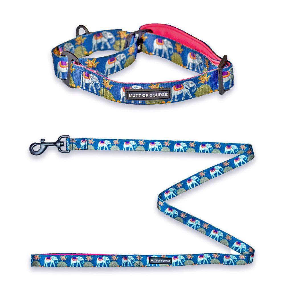 Royal Indian Elephant Martingale Collar + Leash Set