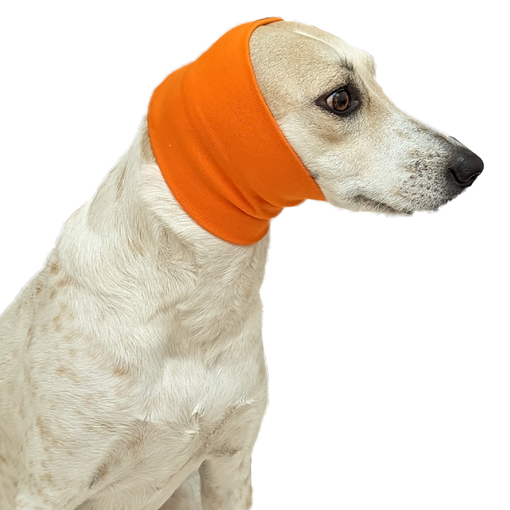 Orange Ear Muff For Cats & Dogs