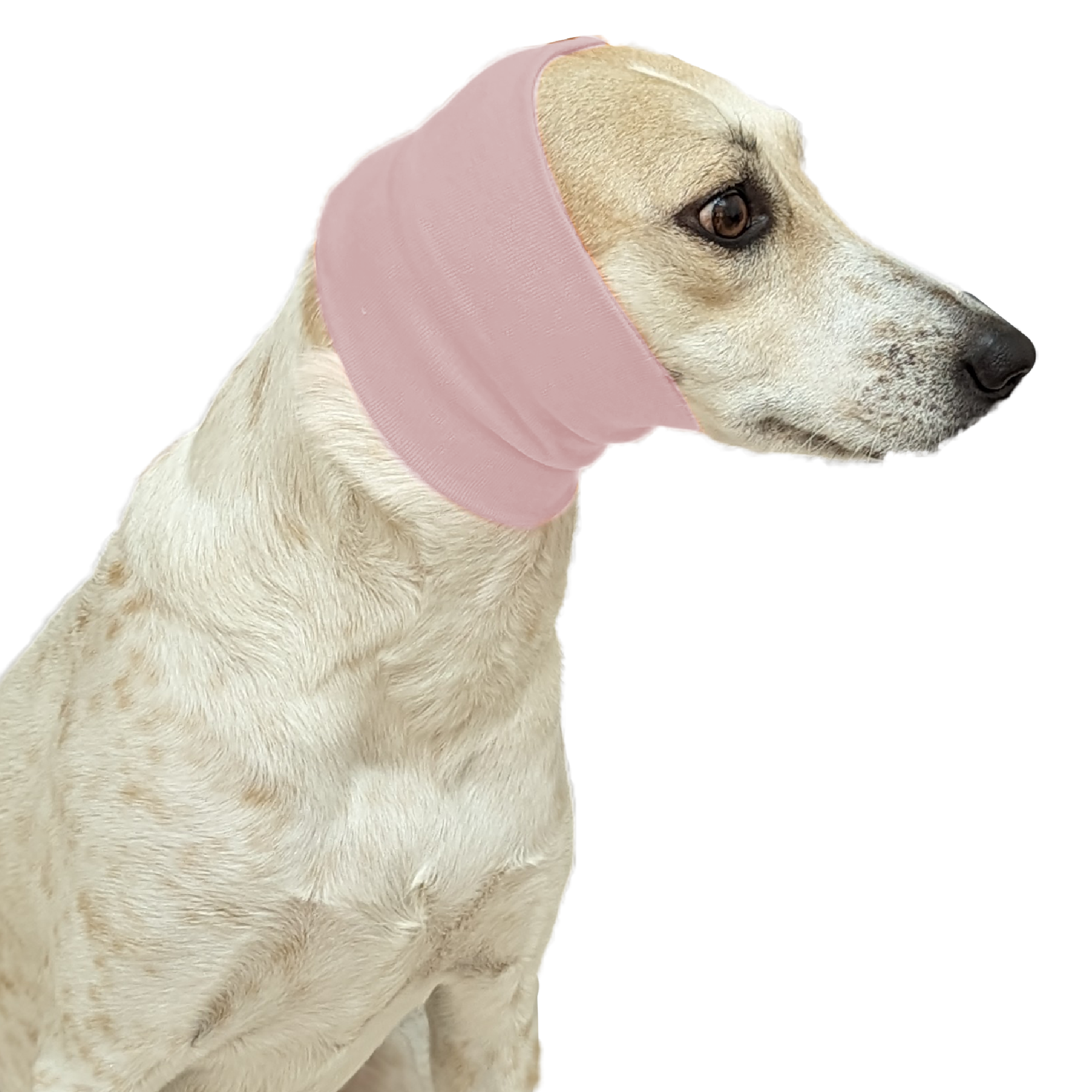 Dog ear compression outlet bandage