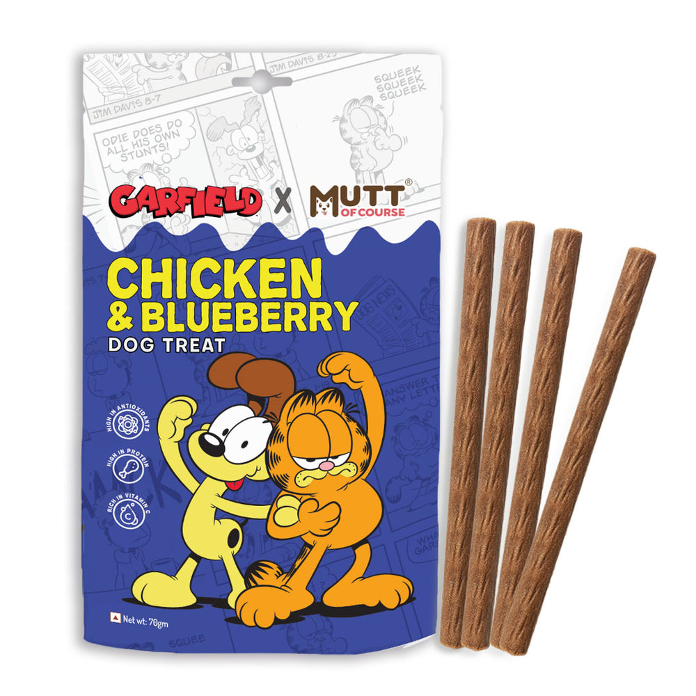 Chicken & Blueberry Dog Treats Sticks