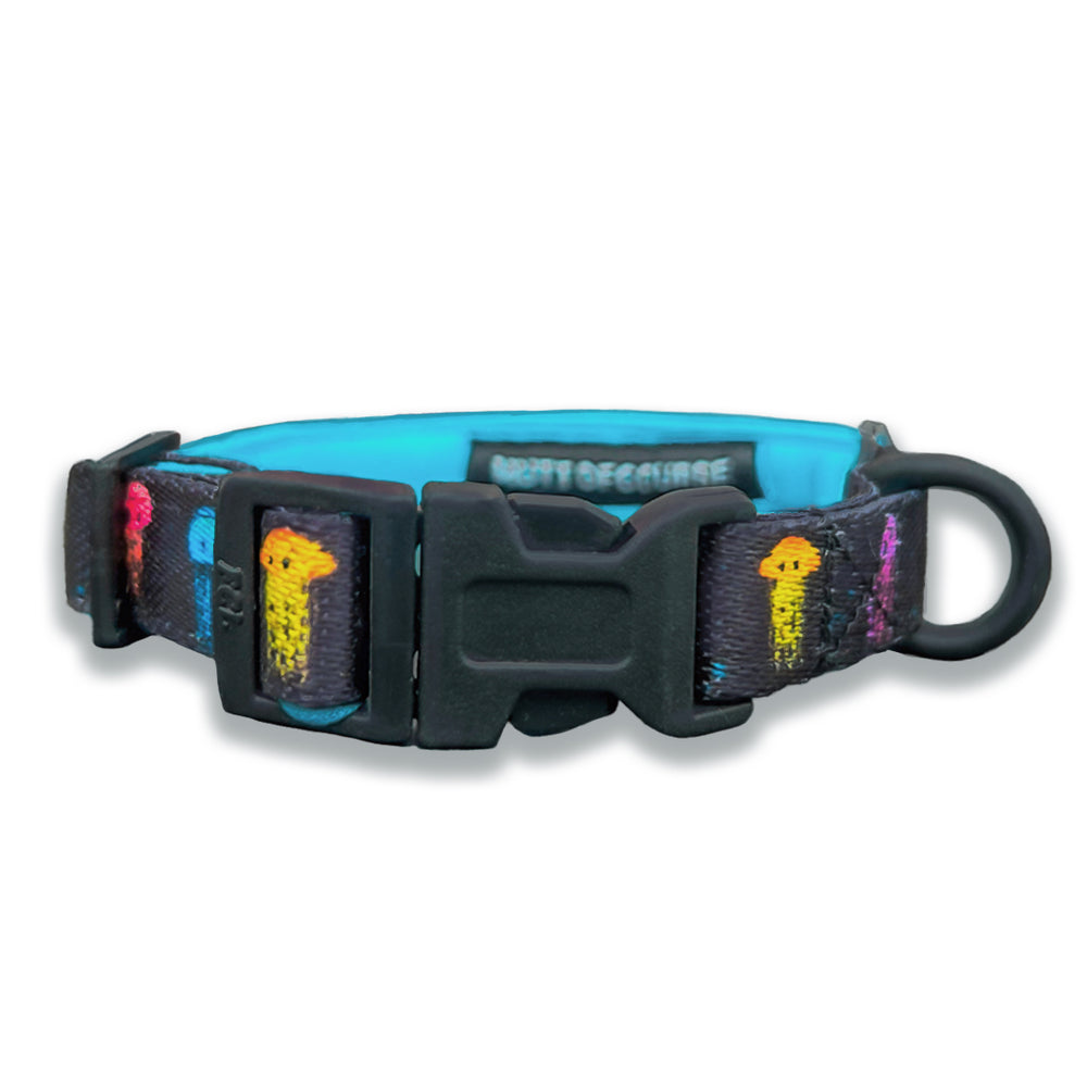 Jellyfish Collar For Cats