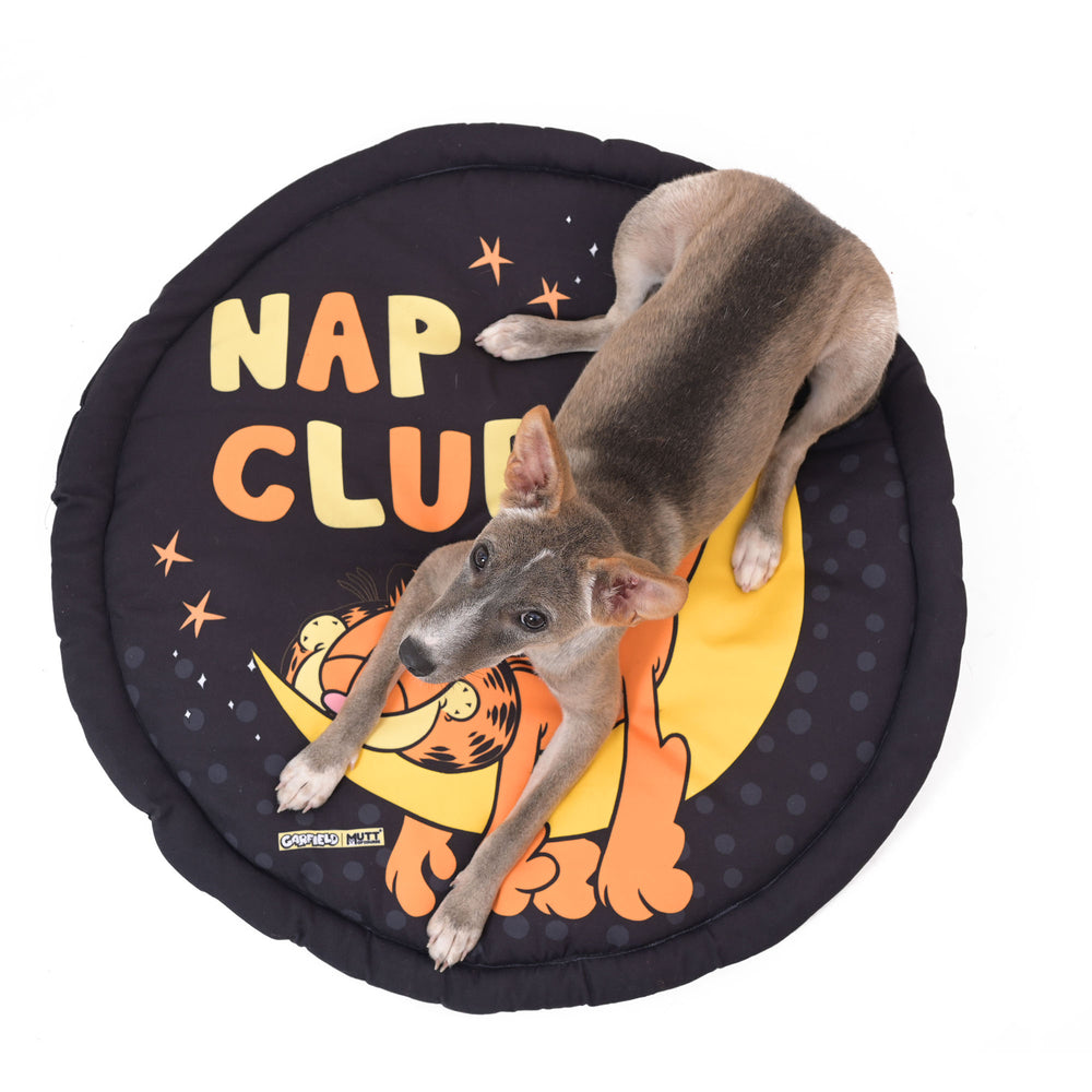 Garfield Nap Club Mat For Dogs