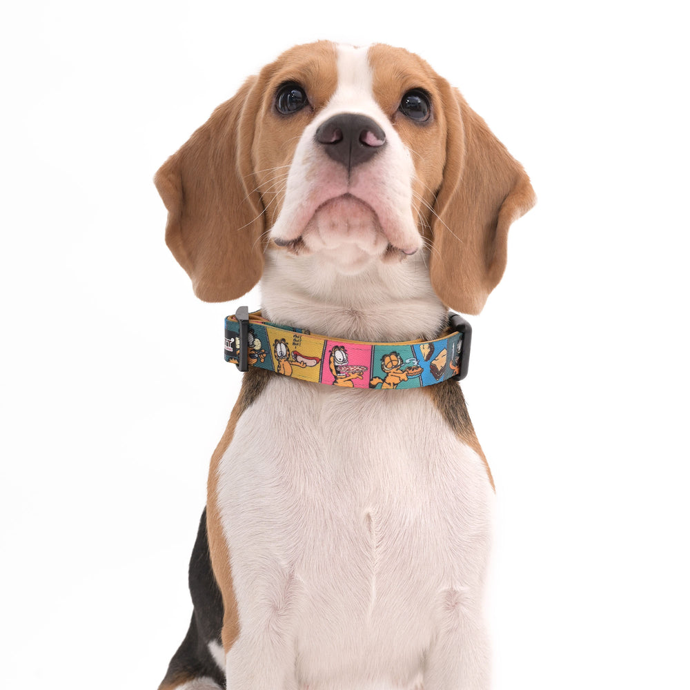 Garfield Binge & Burp Collar For Dogs