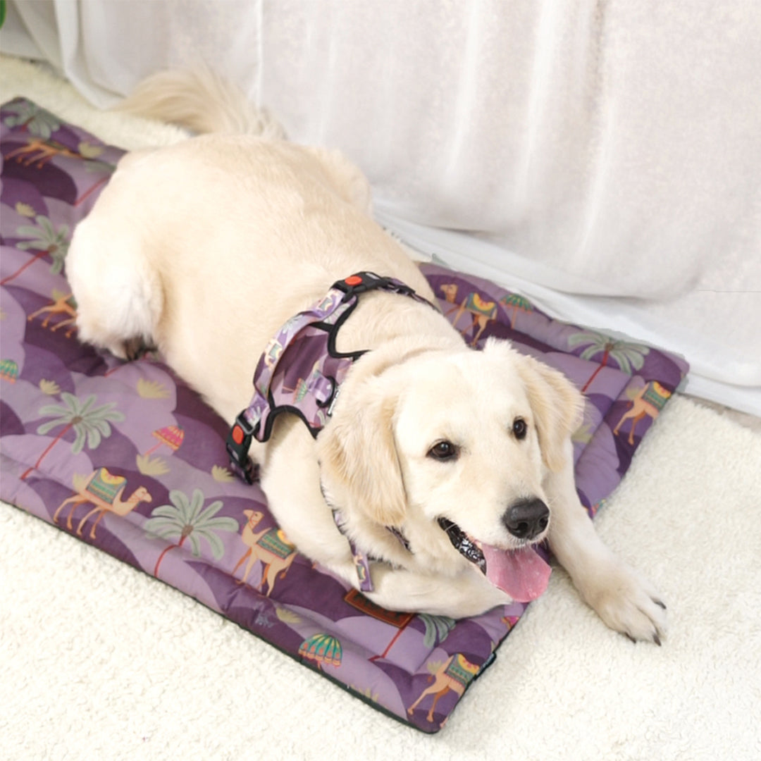 Royal Indian Camel Mat