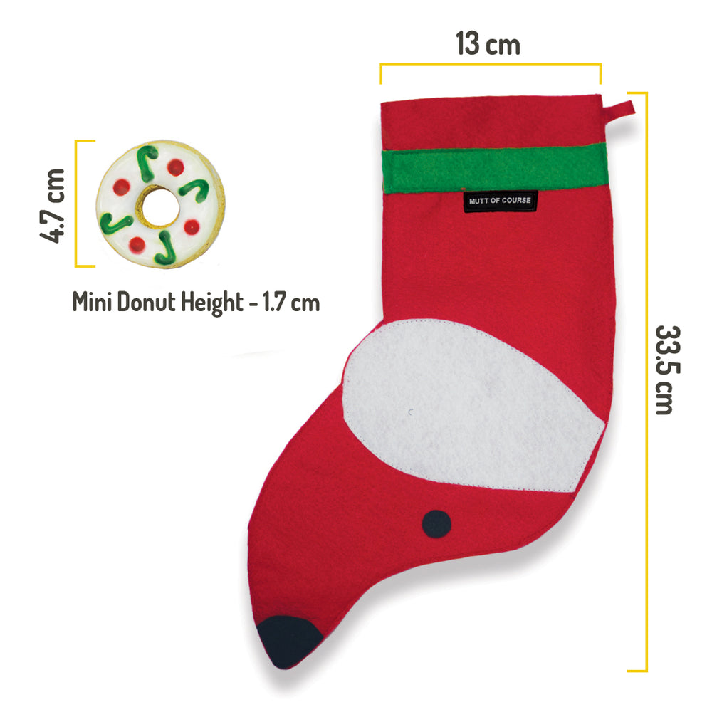 Christmas Stocking and Treat