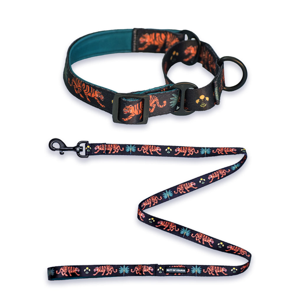 Royal Indian Tiger Martingale Collar + Leash Set