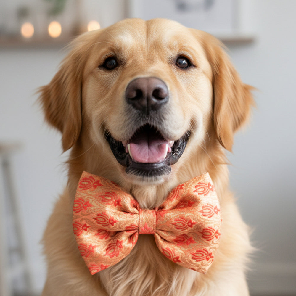 Pink Festive Dog Bow (Without Strap)
