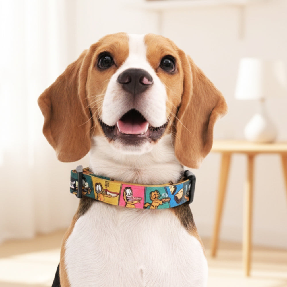 Garfield Binge & Burp Collar For Dogs