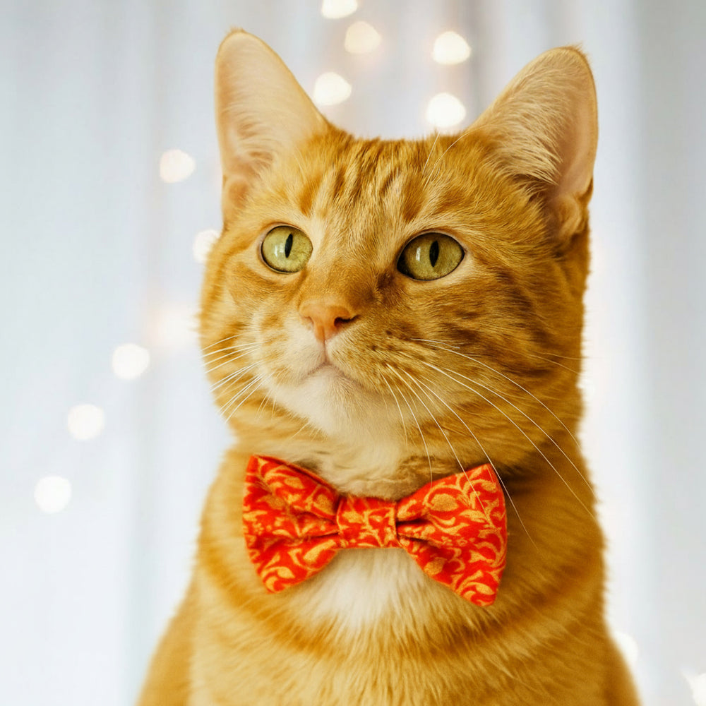 Cat Bow Attachment