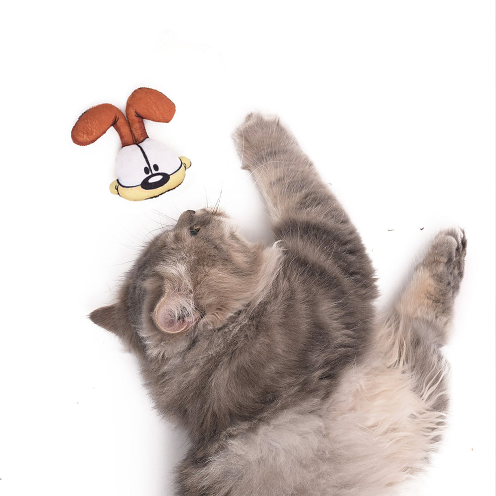 Odie Catnip Plush Toy