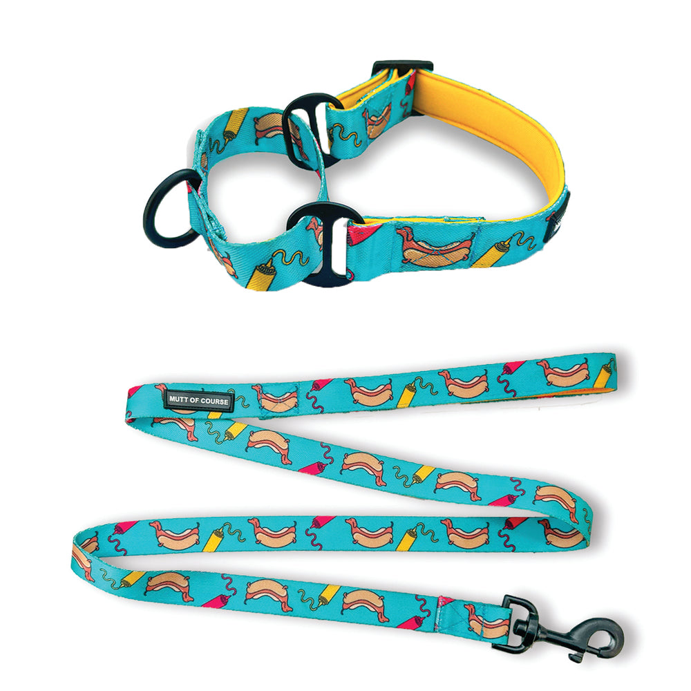 Hot Dog Martingale Collar + Leash Set