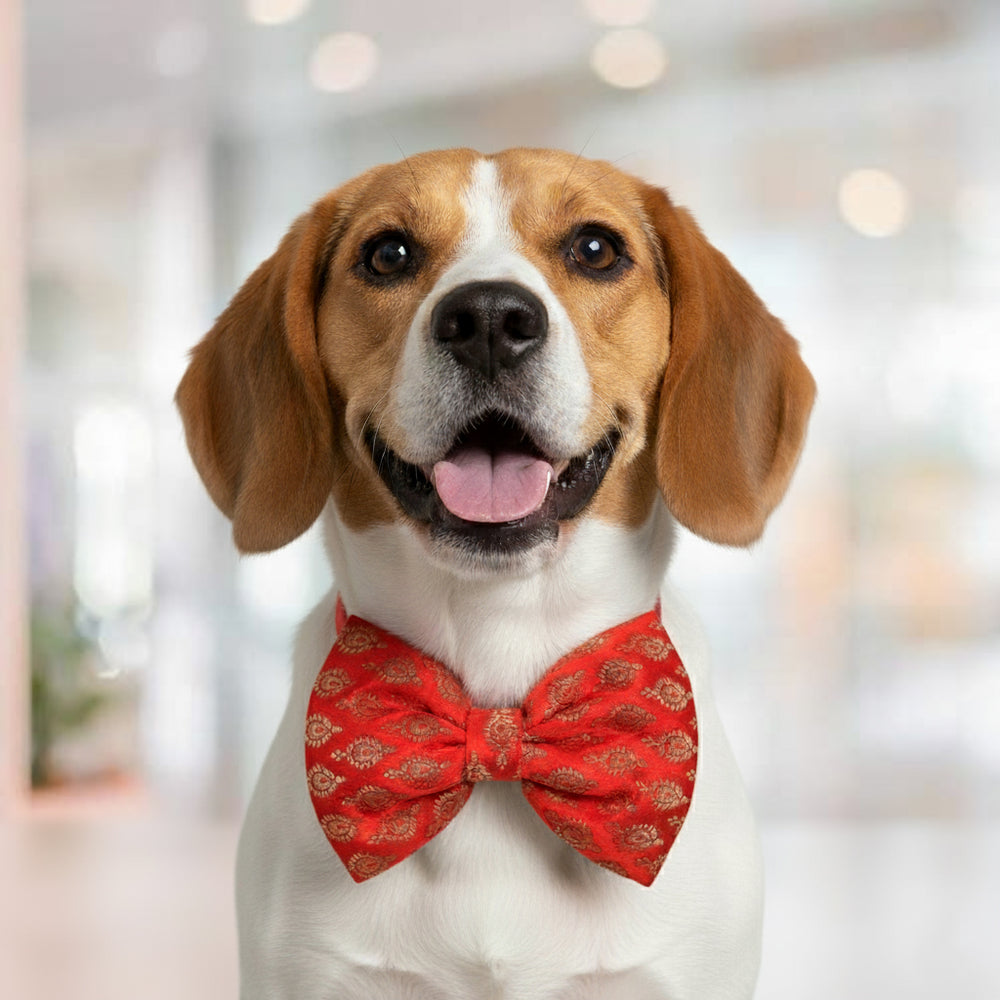 Red Brocade Festive Bow Tie