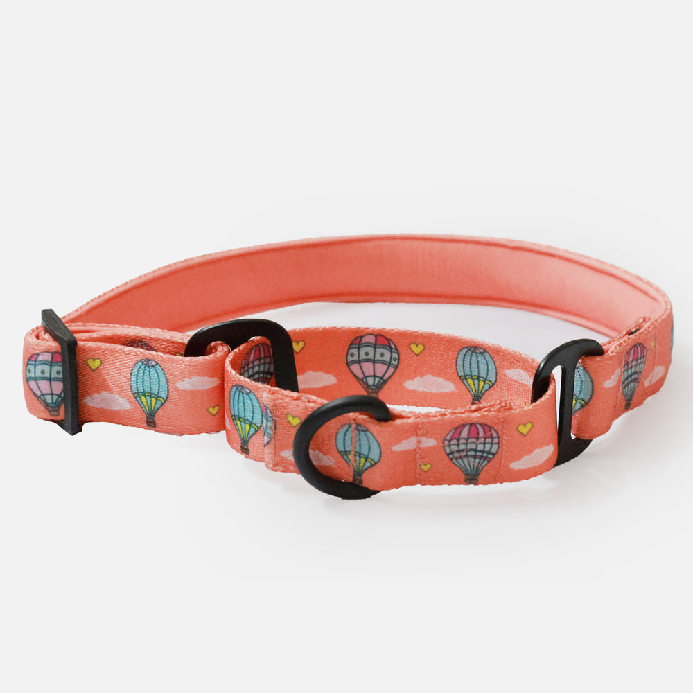 Hot Air Balloon Martingale Collar For Dogs