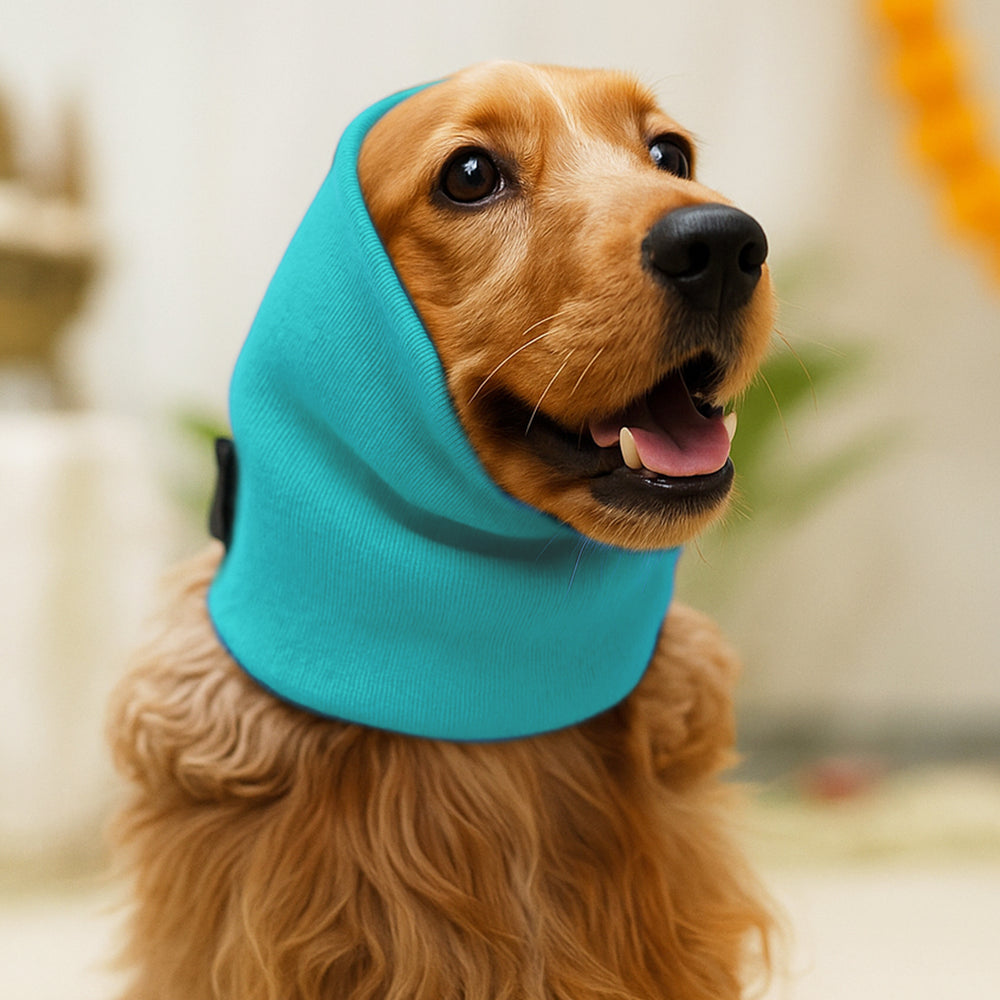 Turquoise Ear Muff For Cats & Dogs