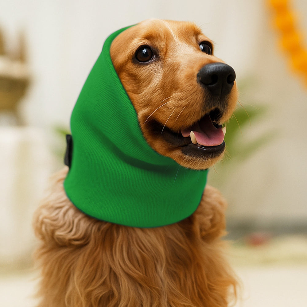 Green Ear Muff For Cats & Dogs