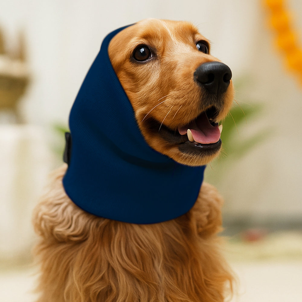 Navy Blue Ear Muff For Cats & Dogs