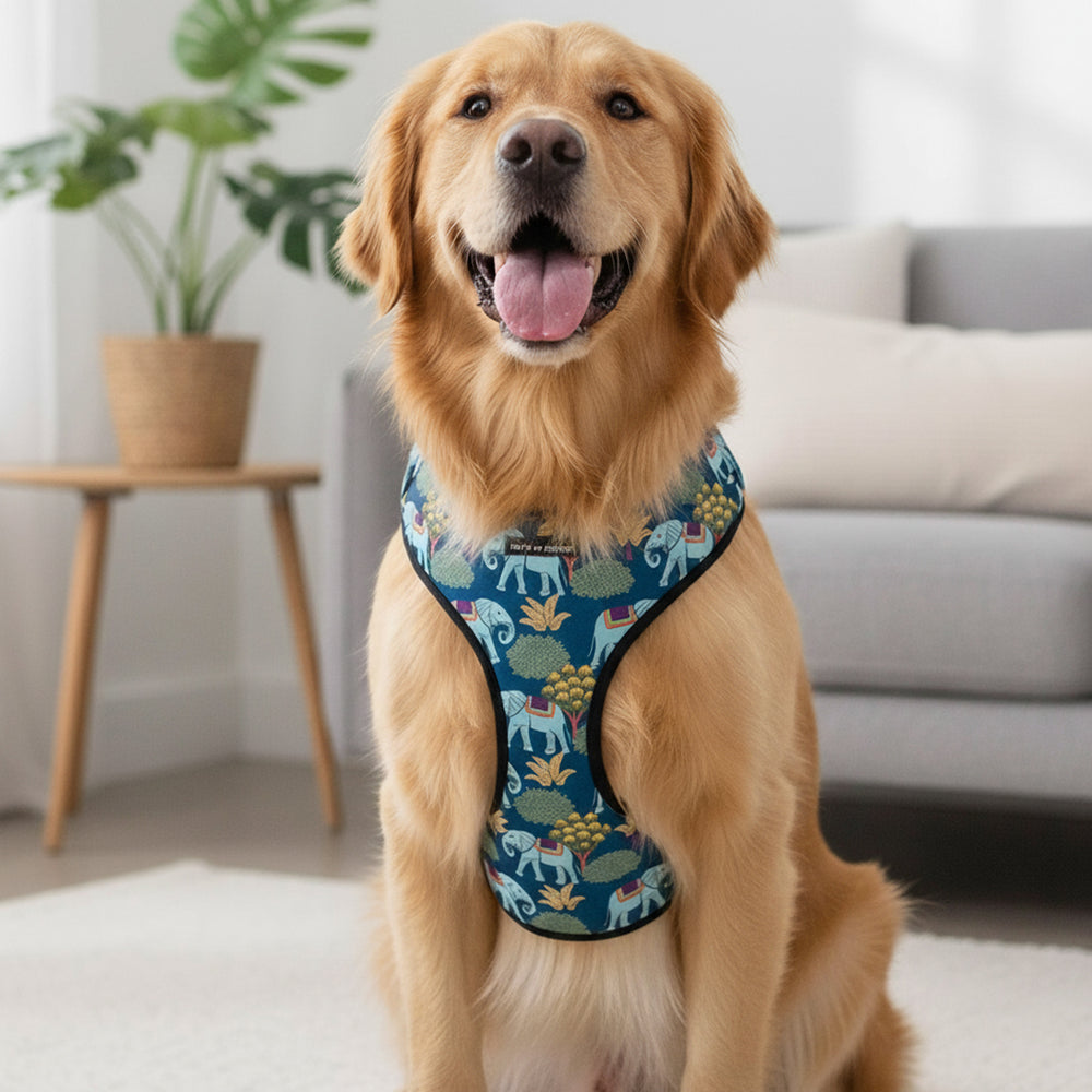 Royal Indian Elephant Vest Harness