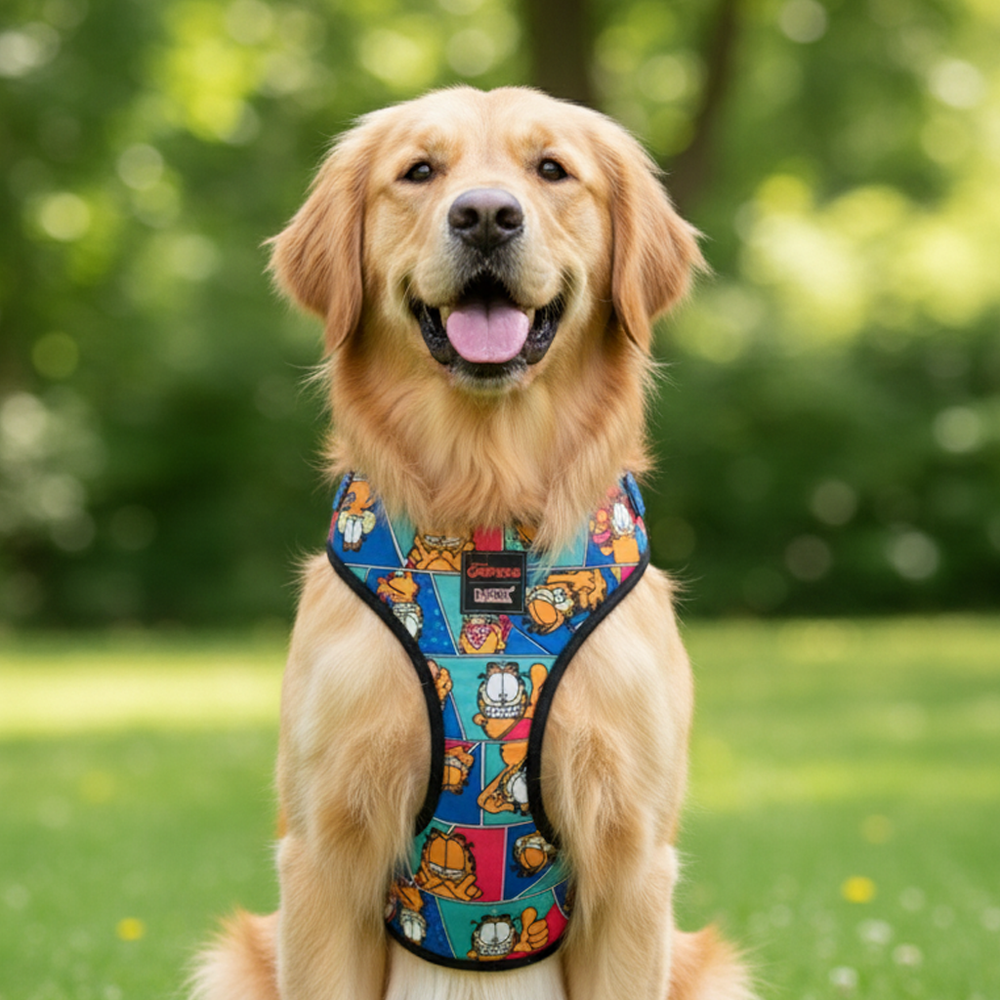 Garfield Moodswings Vest Harness For Dogs