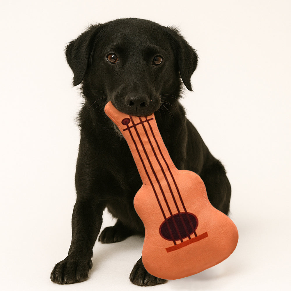 Guitar Toy