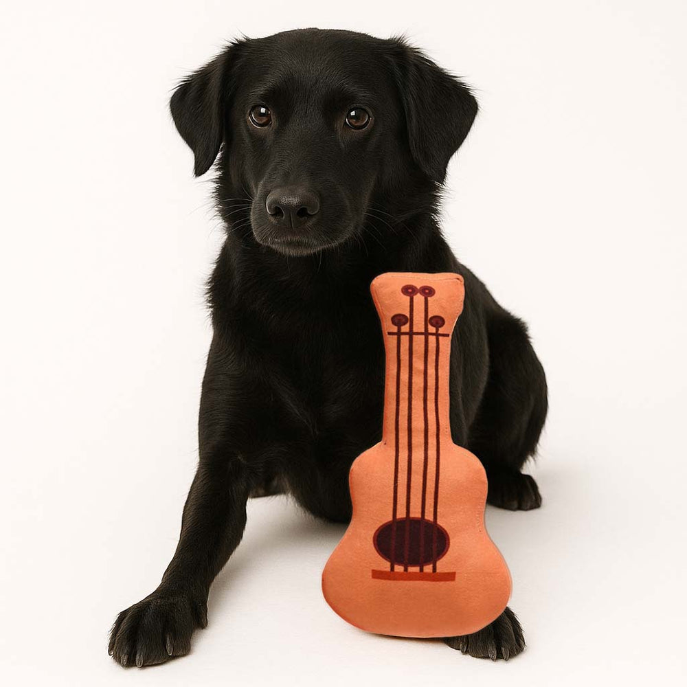 Guitar Toy