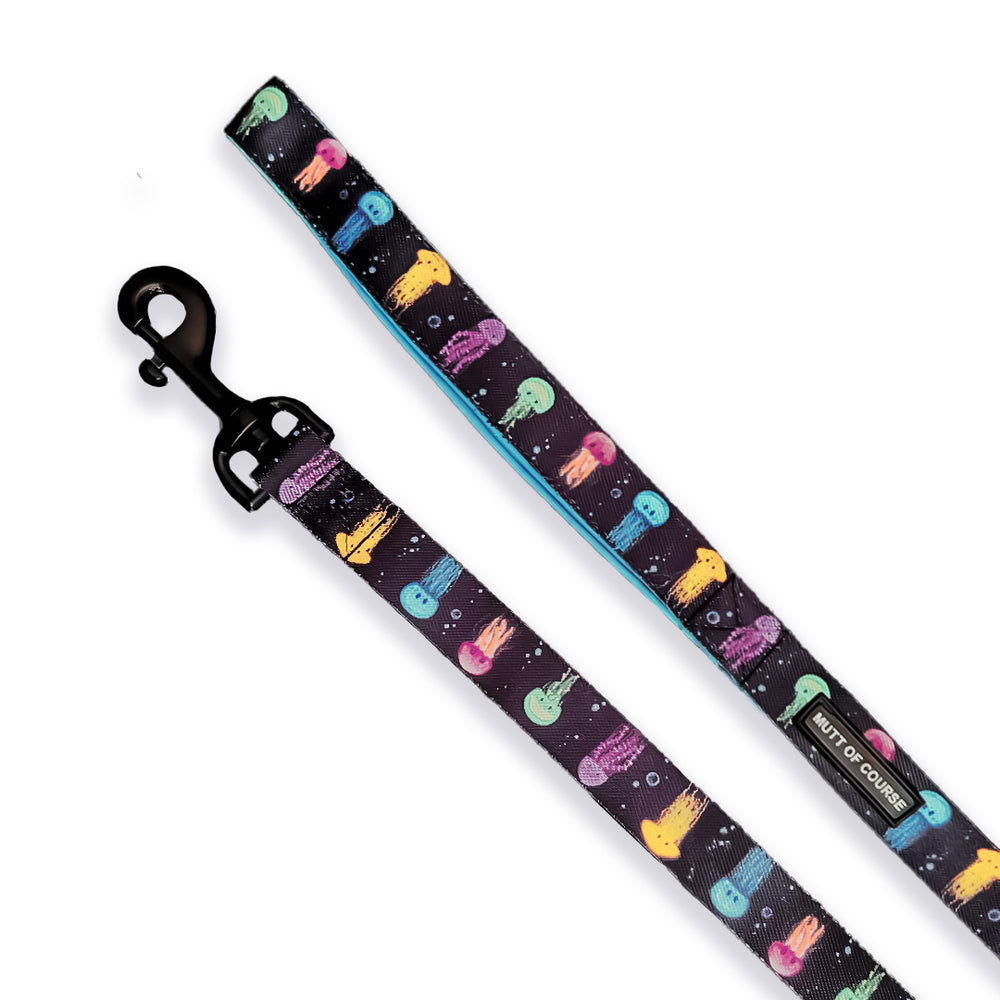 Jellyfish Leash
