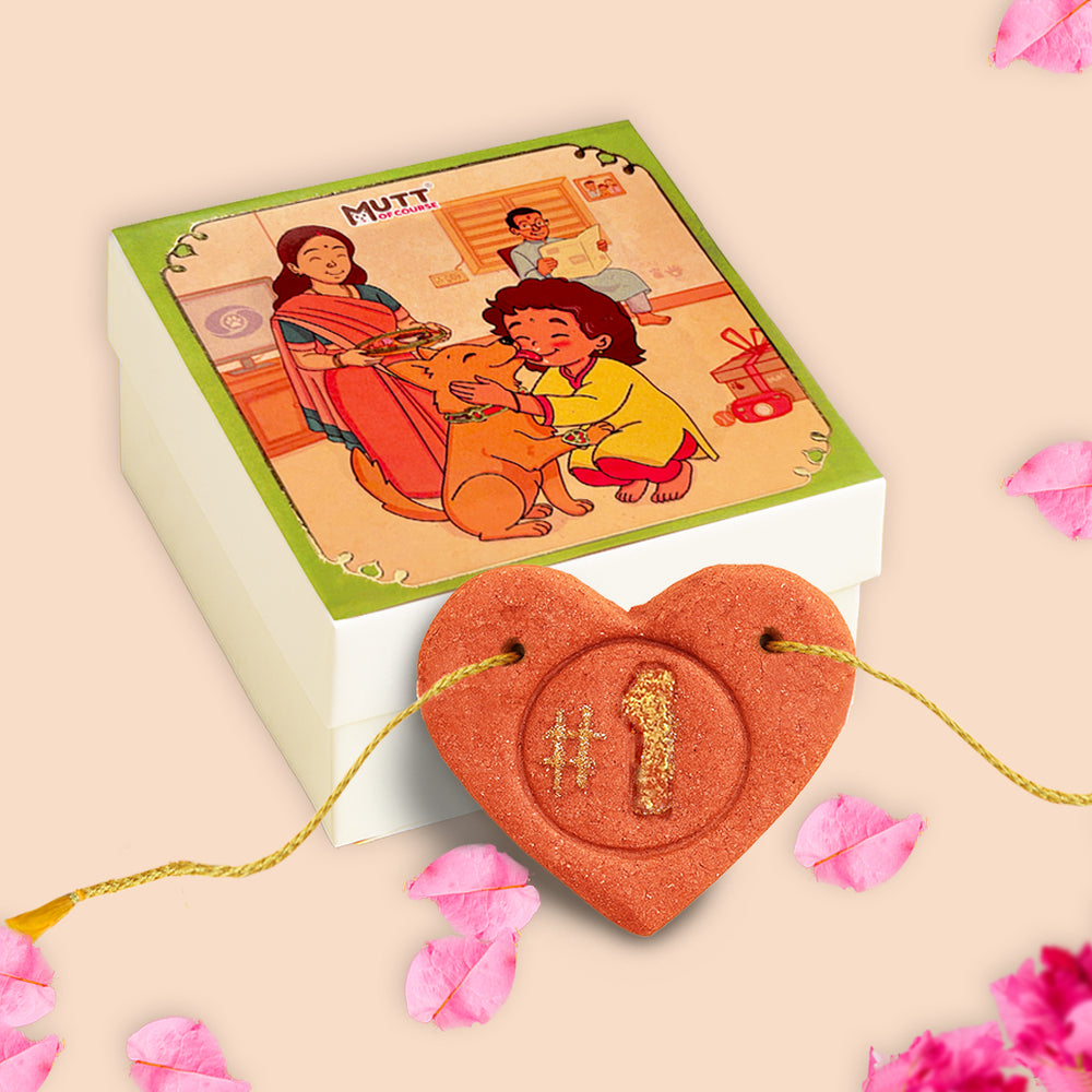Pet Rakhi Hamper For Dogs and Cats