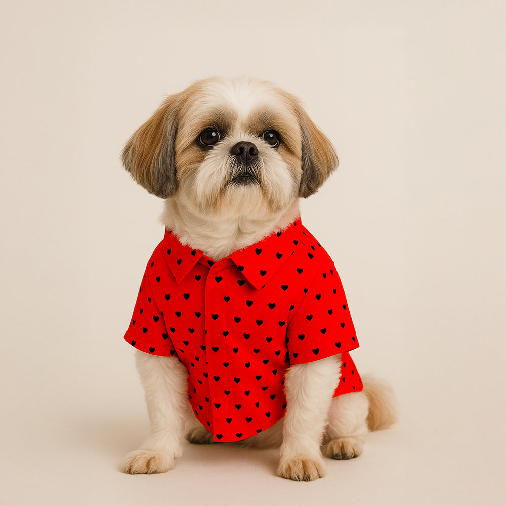 Matching Little Hearts Dog Shirt & Dog Bow Tie | Adjustable Bow Tie for Dogs | Breathable Fabric Shirt for Dogs