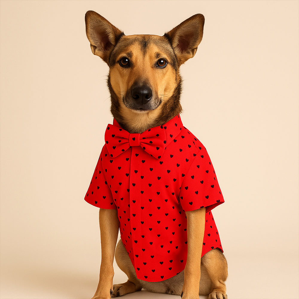 Matching Little Hearts Dog Shirt & Dog Bow Tie | Adjustable Bow Tie for Dogs | Breathable Fabric Shirt for Dogs
