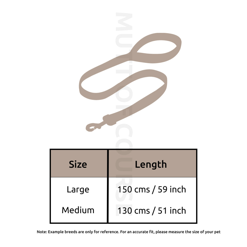 Royal Indian Tiger Leash