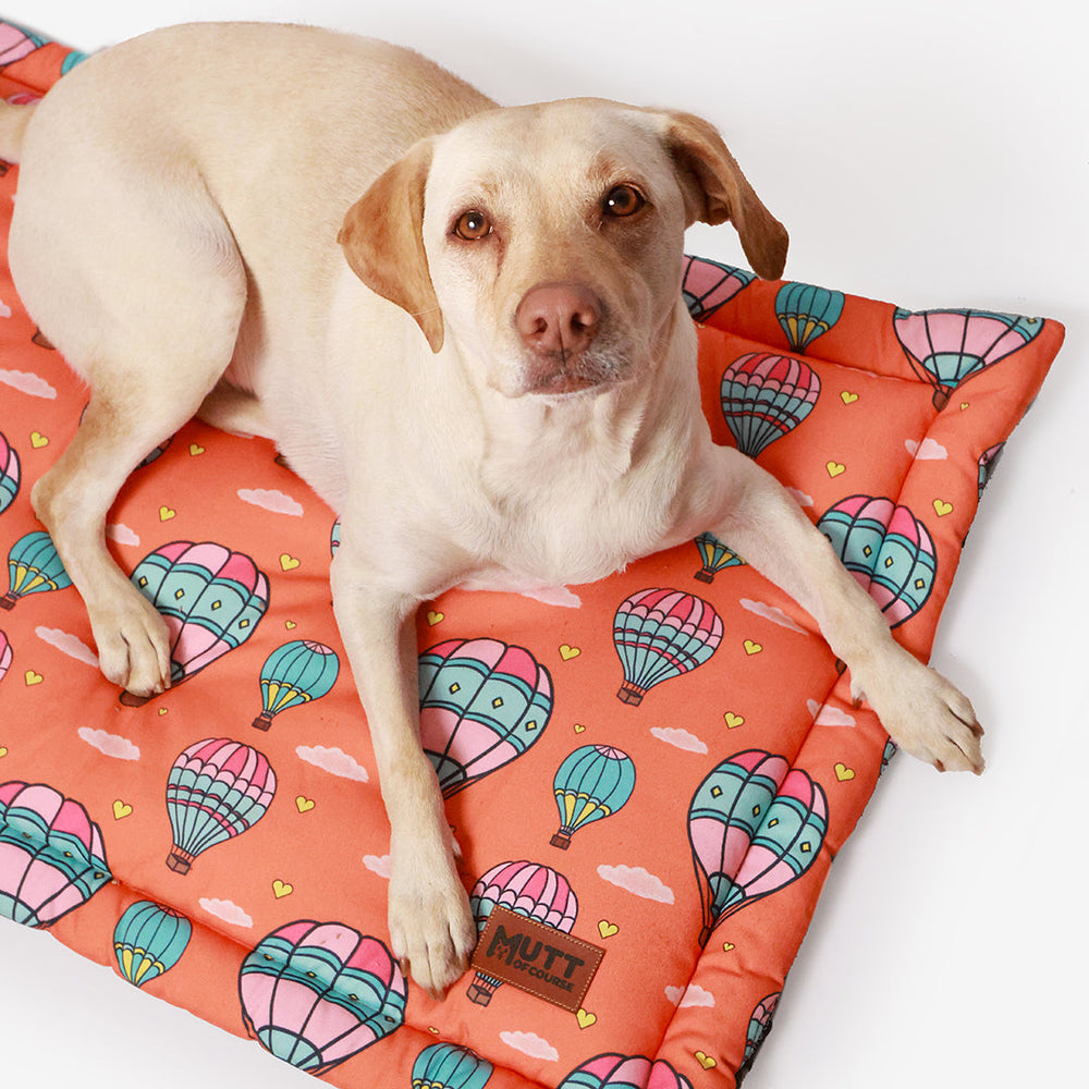 Hot Air Balloon Resting Mat