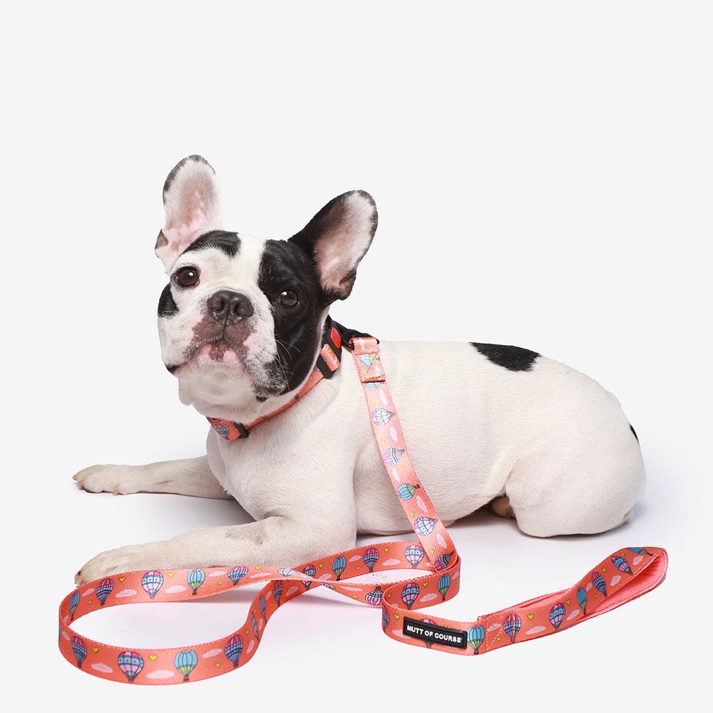 Hot Air Balloon Leash
