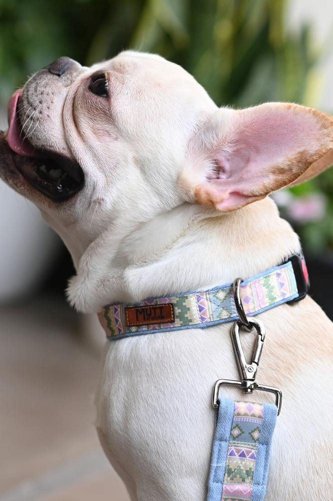 Aztec Denim Collar - Mutt of Course