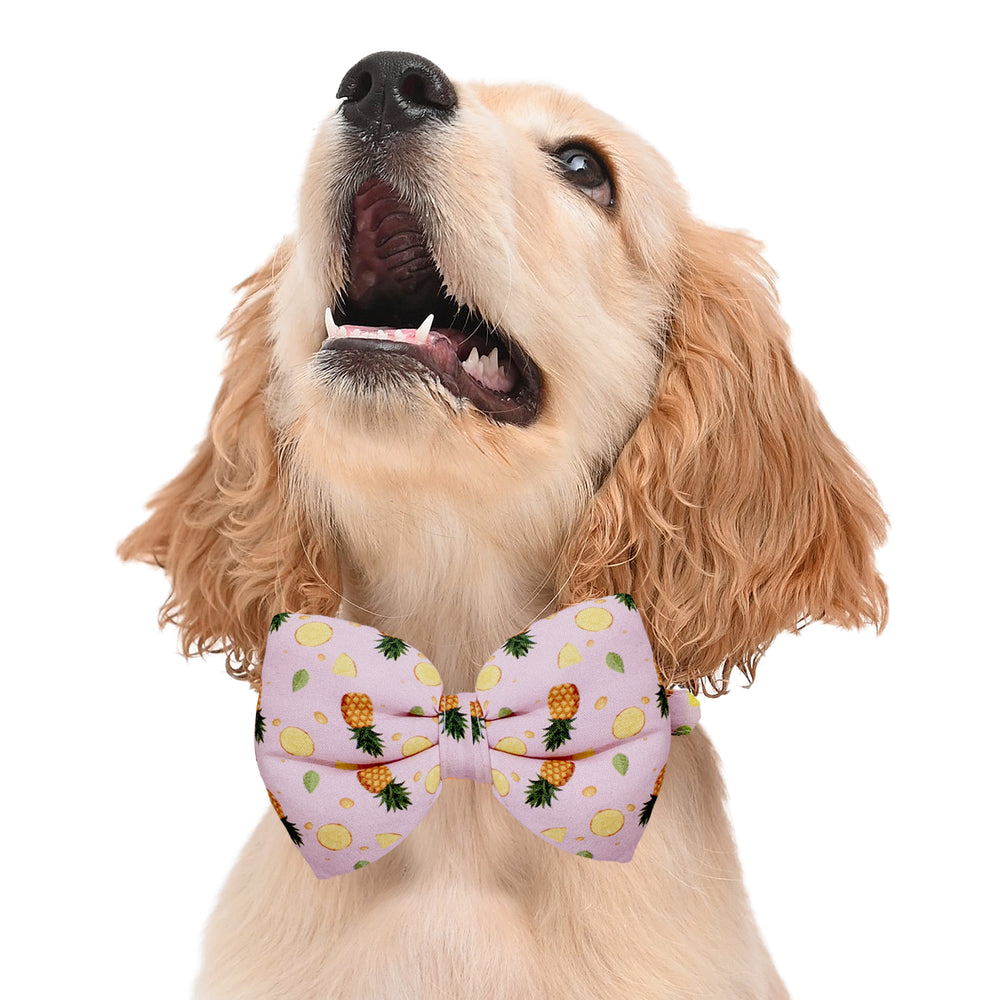 Pineapple Pop Dog Bow Tie