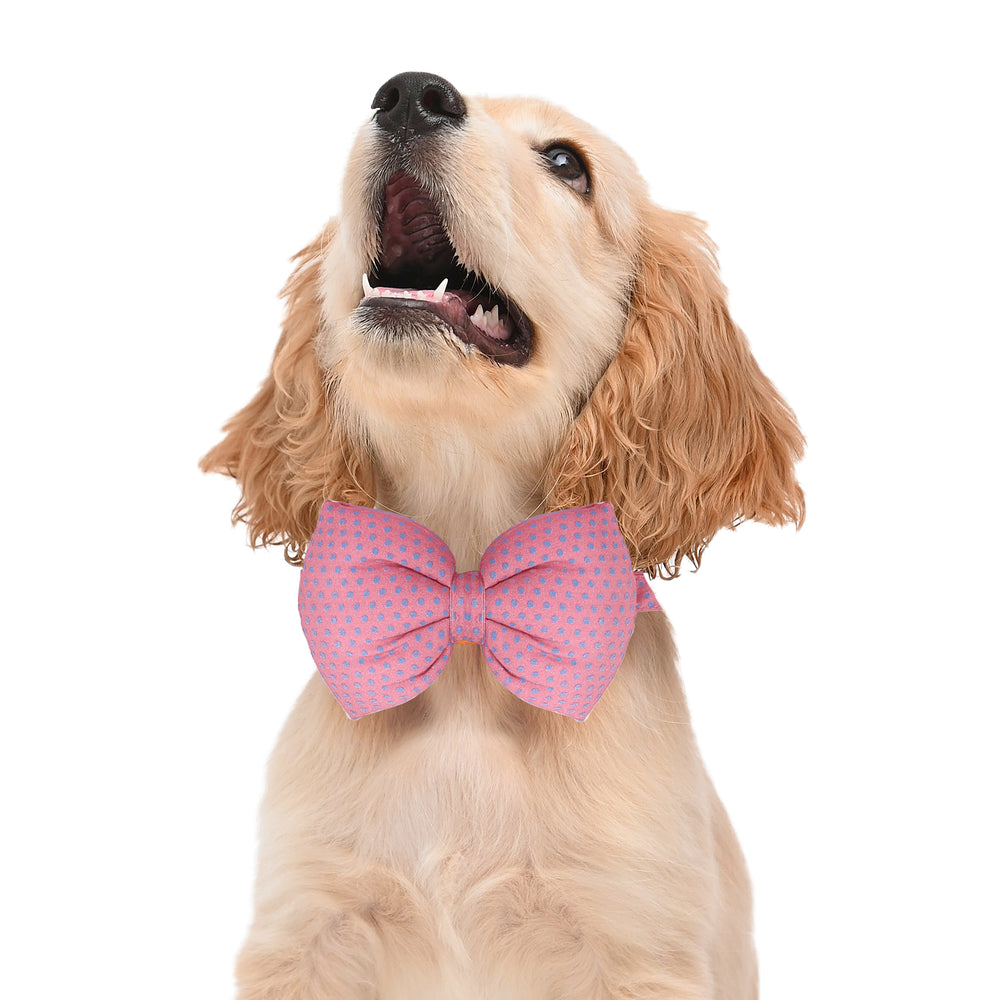 Matching Polka Pink Dog Shirt & Dog Bow Tie | Adjustable Bow Tie for Dogs | Breathable Fabric Shirt for Dogs