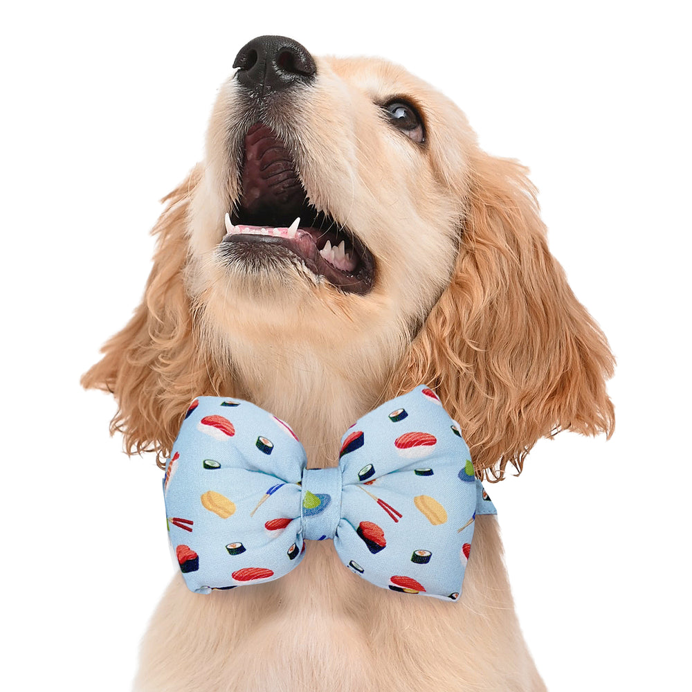 Sushi Surprise Dog Bow Tie