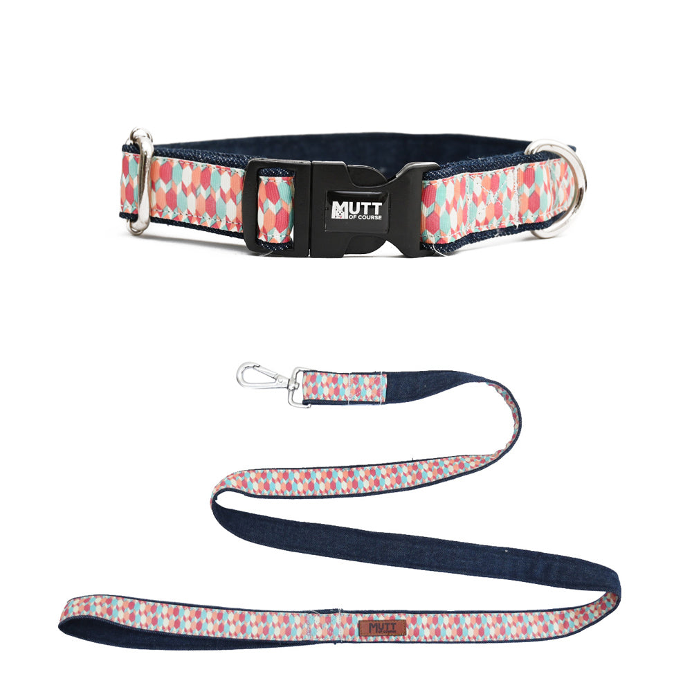 Candy Barr Denim Collar + Leash Set