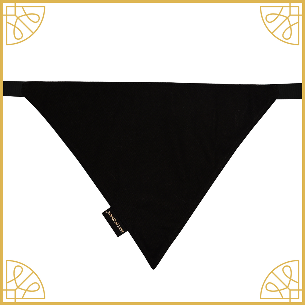 Woofy Wizard Bandana (Harry Potter Collection)