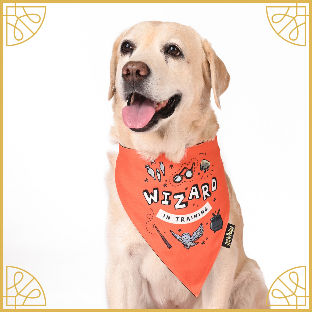 Woofy Wizard Bandana (Harry Potter Collection)
