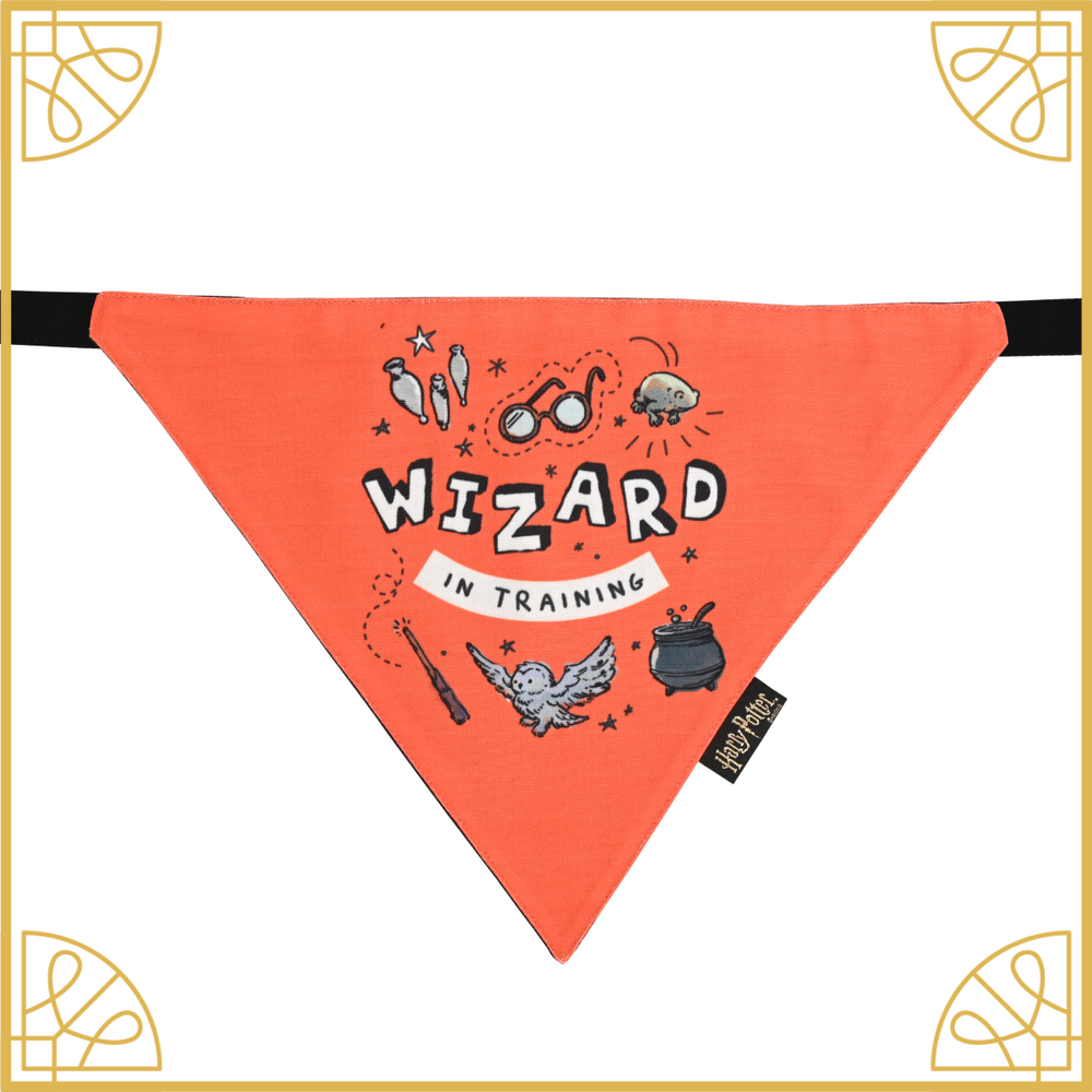 Woofy Wizard Bandana (Harry Potter Collection)