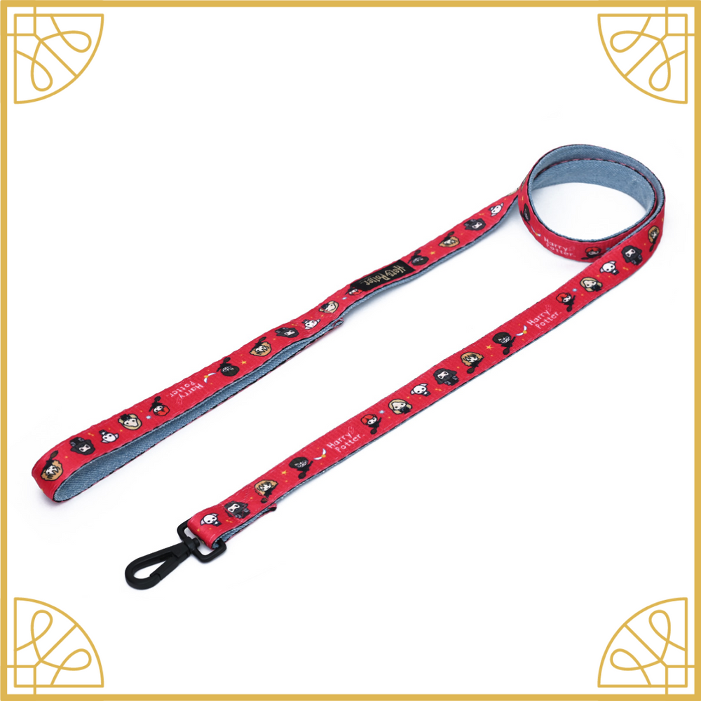 Friends of HP Denim Leash