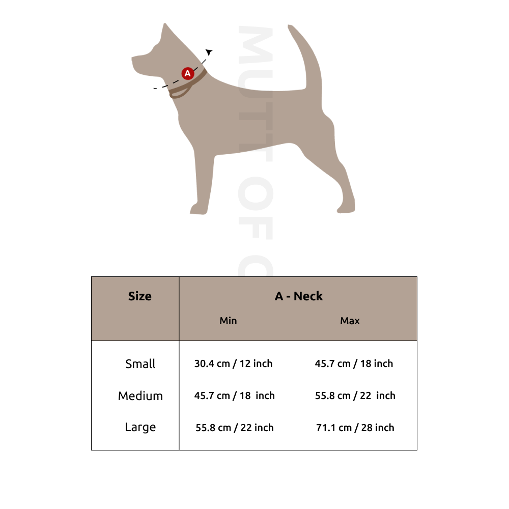 Pawesome Blossom Martingale Collar + Leash Set